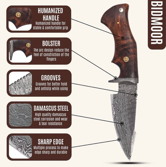Hand-Forged 512-Layer Damascus Outdoor Knife with Walnut Handle